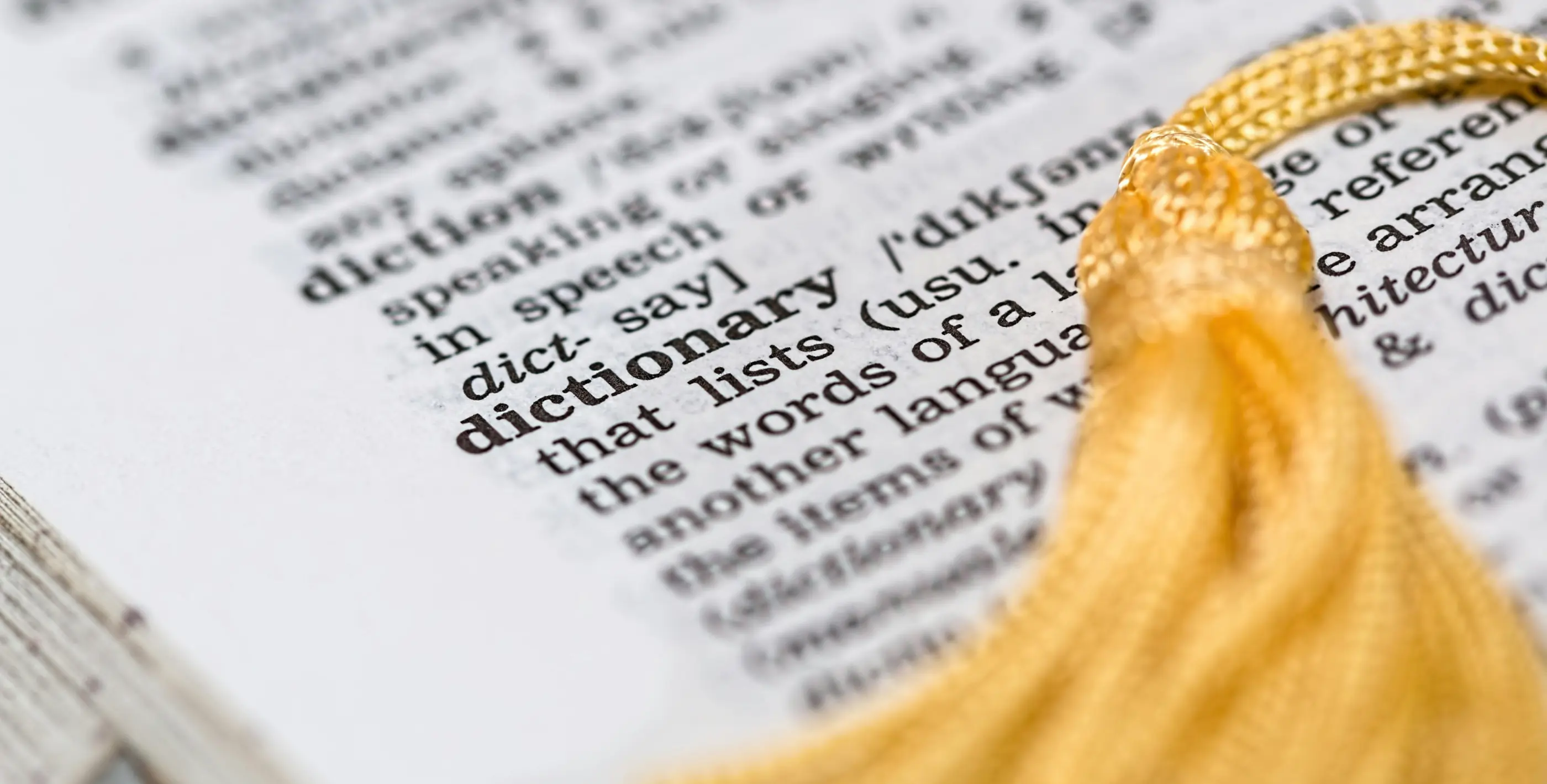 Open book with a quill pen and inkwell nearby. Represents literature, writing, and critical thinking skills.