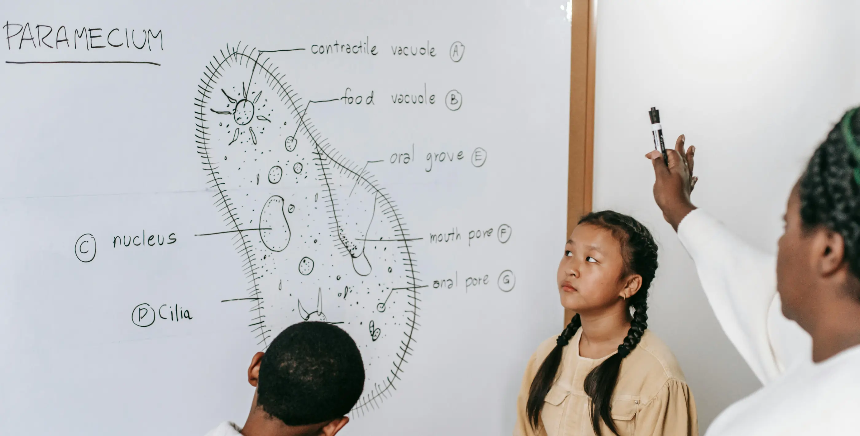 Gold Coast web design for Esteem Clinics providing UX and conversion rate improvements within only weeks. We are experts at optimisation and migration of Wordpress websites. Offering fair prices on Wordpress Website Design and fast turn around. Basic graphic design package included FREE.